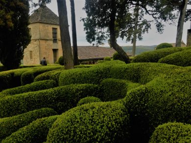 Les allées de buis des jardins de Marqueyssac